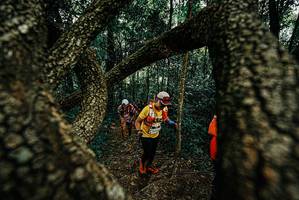 BIB: 
                            <button type="button" onclick="openModal(25676025)" class="btn btn-primary btn-sm float-right btn-popup" data-toggle="modal" data-target=".modal-high-quality">
                        <i class="fas fa-shopping-cart"></i> Add to Cart
                    </button>
                                            <button type="button" onclick="isThisMe(25676025, true)" class="btn btn-success btn-sm float-right btn-popup btn-isme hidden" data-toggle="tooltip" data-placement="bottom" title="นี่คือรูปของคุณใช่ไหม คลิกที่นี่เพื่อเอาเข้าอัลบั้ม">
                        <i class="fas fa-plus"></i> Add to album
                    </button>
                    <button type="button" onclick="isThisMe(25676025, false)" class="btn btn-warning btn-sm float-right btn-popup btn-isnotme hidden">
                        <i class="fas fa-ban"></i> Remove from album
                    </button>